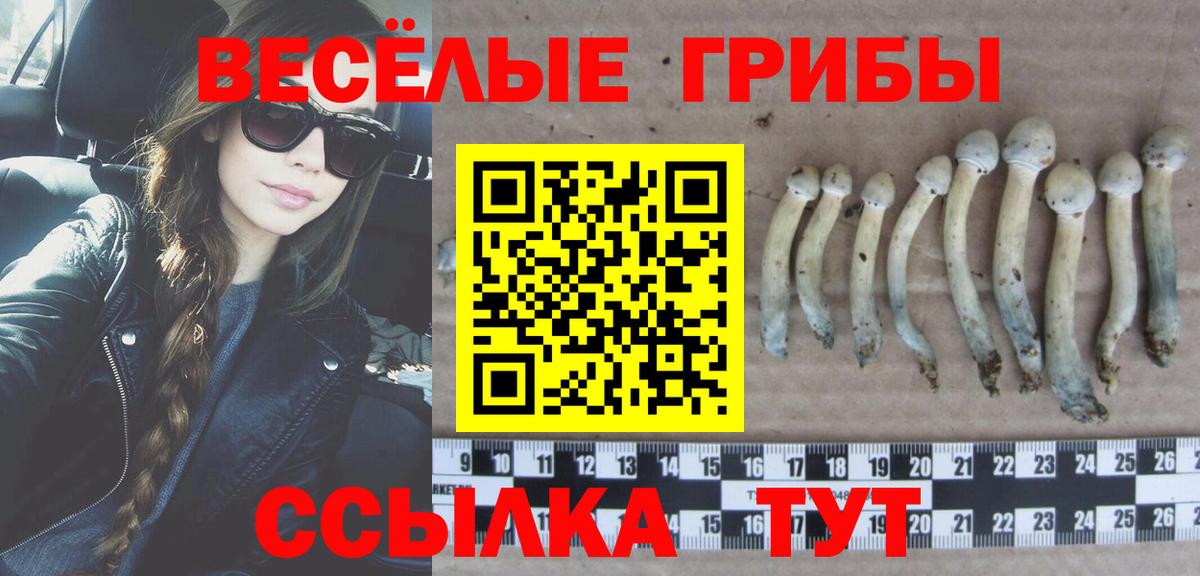 Галлюциногенные грибы мицелий  Вход с VPN  Лосино-Петровский 